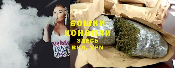 твердый Новодвинск