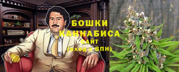 каннабис Новозыбков