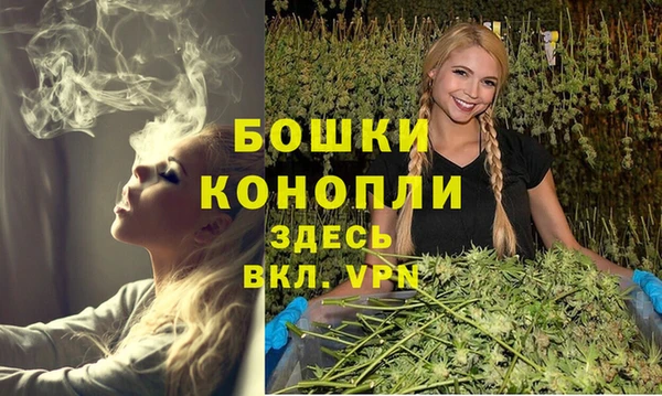 каннабис Новозыбков